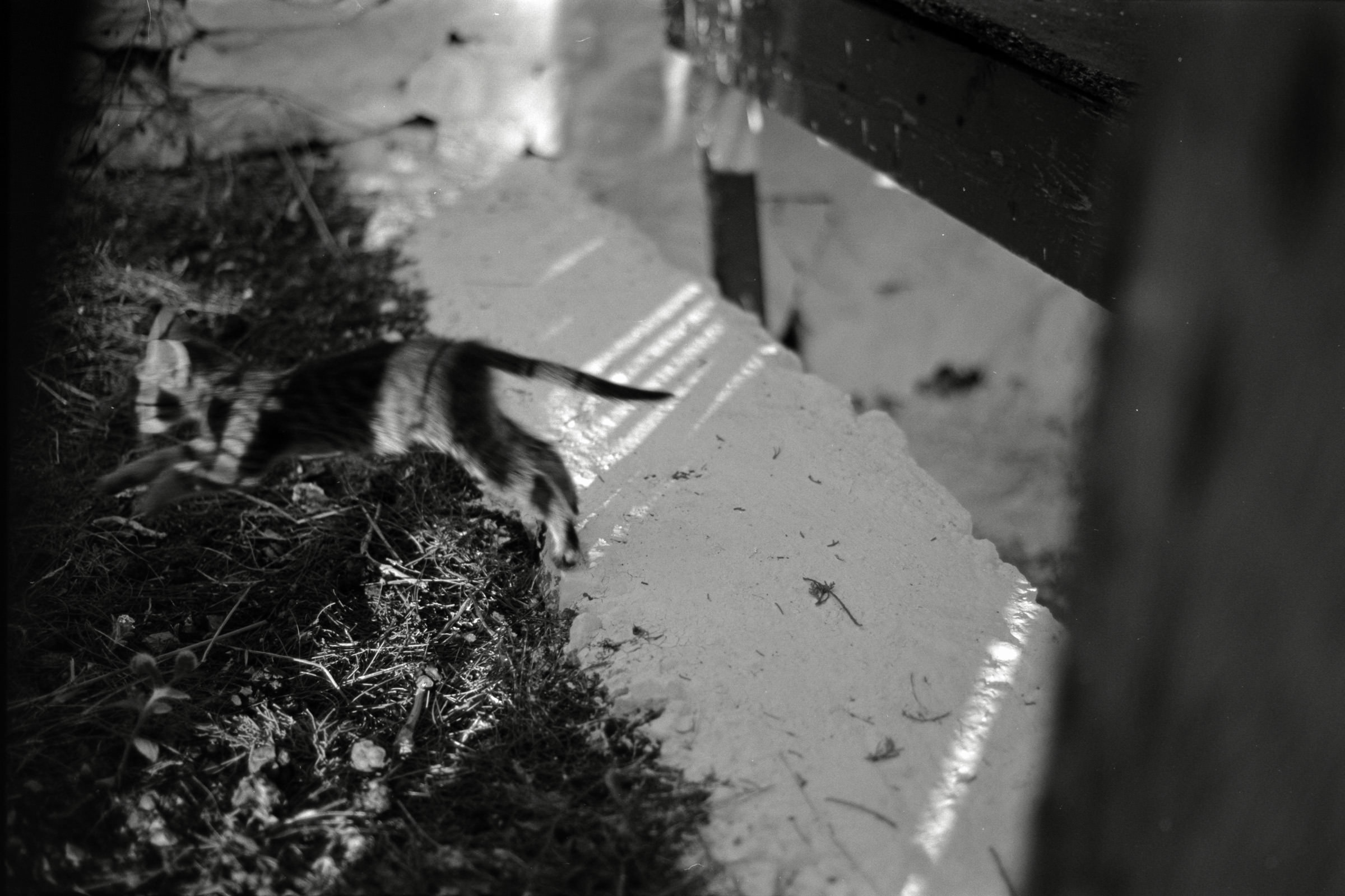 AHP F1991 09 003 sc240914 img08 NLP